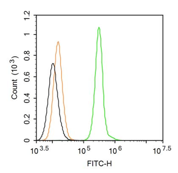 MCPIP1 Rabbit Polyclonal Antibody (FITC)