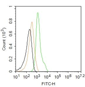 MCPIP1 Rabbit Polyclonal Antibody (FITC)