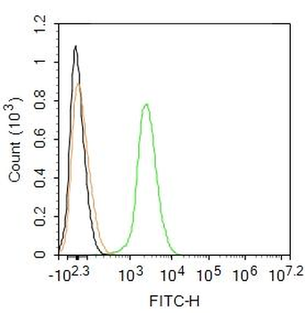 MCPIP1 Rabbit Polyclonal Antibody (FITC)