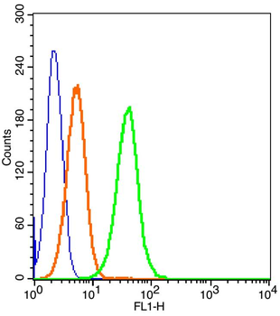 CD166 Rabbit Polyclonal Antibody