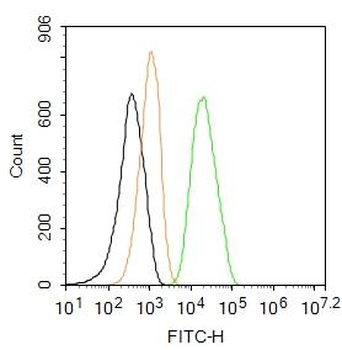 MMP2 Rabbit Polyclonal Antibody (FITC)