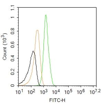 NARG2 Rabbit Polyclonal Antibody (FITC)