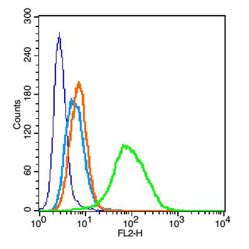 IL2RA/CD25 Rabbit Polyclonal Antibody