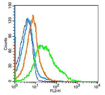 CD62L Rabbit Polyclonal Antibody