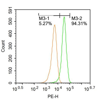 CDK6 Rabbit Polyclonal Antibody
