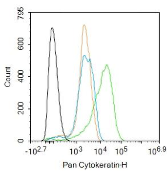 Pan Cytokeratin Rabbit Polyclonal Antibody