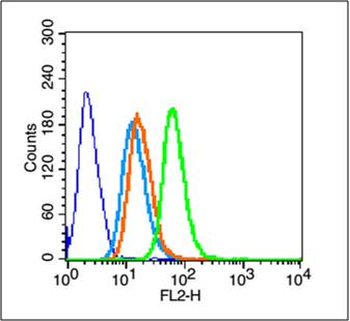 Pan Cytokeratin Rabbit Polyclonal Antibody