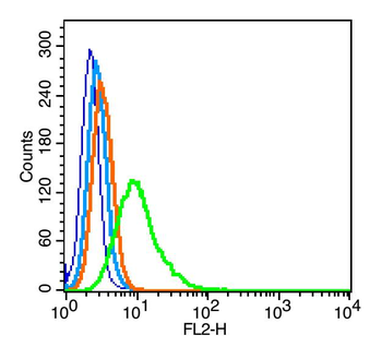 Phospho-CREB-1 (Ser133) Rabbit Polyclonal Antibody