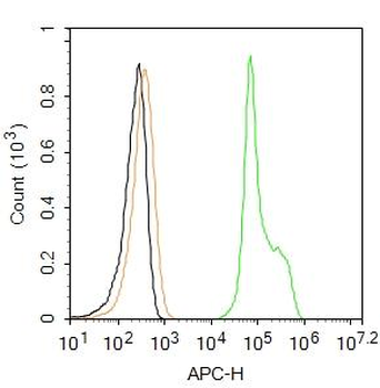 Histone H3 (Di Methyl K36) Rabbit Polyclonal Antibody (Cy5.5)