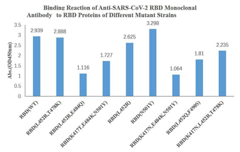 SARS-CoV-2 (2019-nCoV) Spike Neutralizing Mouse Monoclonal Antibody