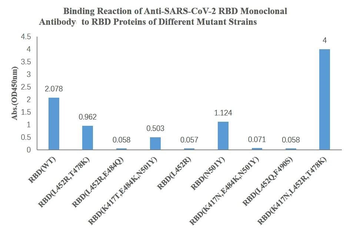 SARS-CoV-2 (2019-nCoV) Spike Neutralizing Mouse Monoclonal Antibody