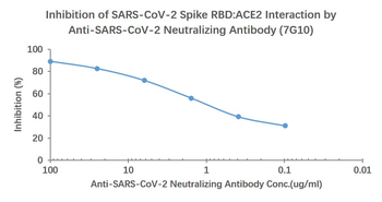 SARS-CoV-2 (2019-nCoV) Spike Neutralizing Mouse Monoclonal Antibody