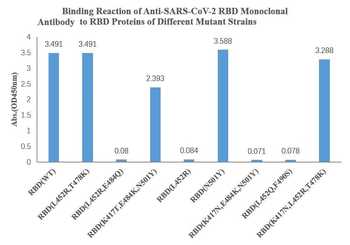 SARS-CoV-2 (2019-nCoV) Spike Neutralizing Mouse Monoclonal Antibody