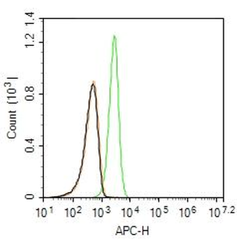 SPECA Rabbit Polyclonal Antibody (Cy5.5)
