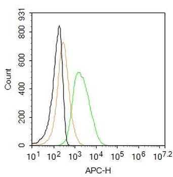CEA (C3) Mouse Monoclonal Antibody (Cy5.5)