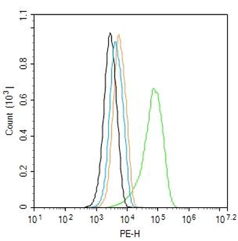 F2 Rabbit Polyclonal Antibody