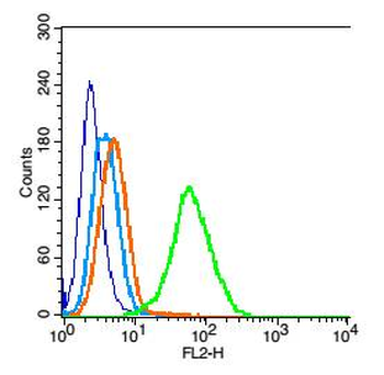 PARK7/DJ1 Rabbit Polyclonal Antibody