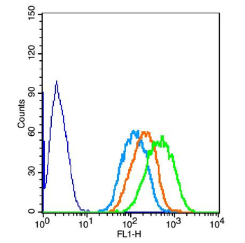 PARK7/DJ1 Rabbit Polyclonal Antibody