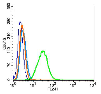 E2F1 Rabbit Polyclonal Antibody