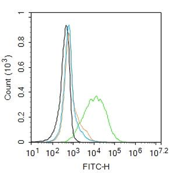 EGF Rabbit Polyclonal Antibody