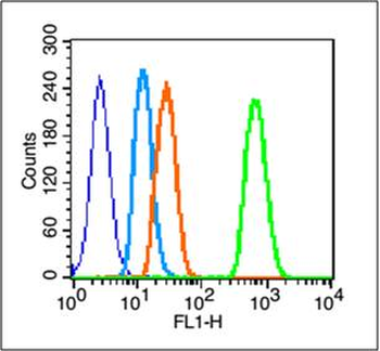 Phospho-EGFR (Tyr1068) Rabbit Polyclonal Antibody