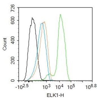 ELK1 Rabbit Polyclonal Antibody