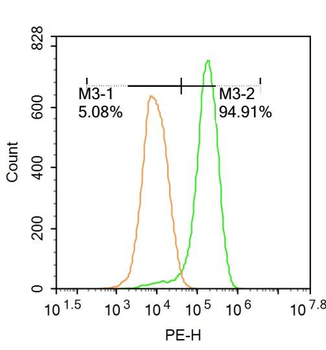 Phospho-IFNAR1 (Ser535+Ser539) Rabbit Polyclonal Antibody