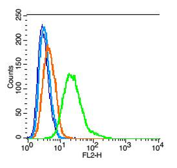 ERK1 + ERK2 Rabbit Polyclonal Antibody