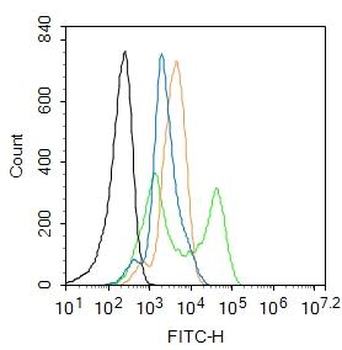 Phospho-Erk1 (Thr202 + Tyr204) Rabbit Polyclonal Antibody