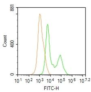 Phospho-PI3 kinase p85 alpha + gamma (Tyr467 + Tyr199) Rabbit Polyclonal Antibody
