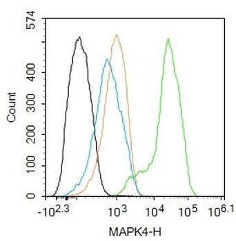 MAPK4 Rabbit Polyclonal Antibody