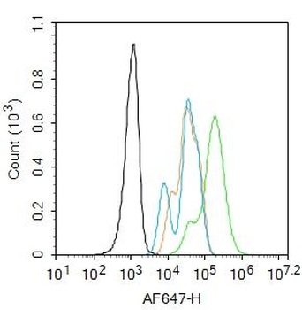 Phospho-STAT3 (Tyr705) Rabbit Polyclonal Antibody