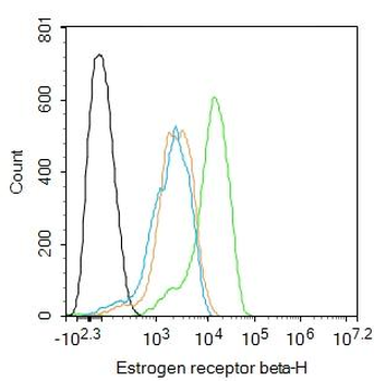 Estrogen receptor beta Rabbit Polyclonal Antibody