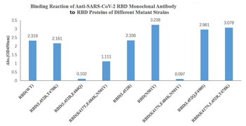 SARS-CoV-2 (2019-nCoV) Spike RBD Mouse Monoclonal Antibody