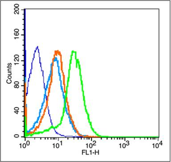 CD95/FAS Rabbit Polyclonal Antibody