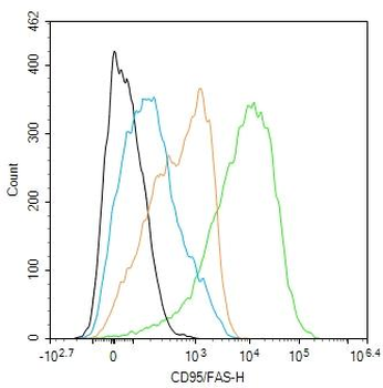 CD95/FAS Rabbit Polyclonal Antibody