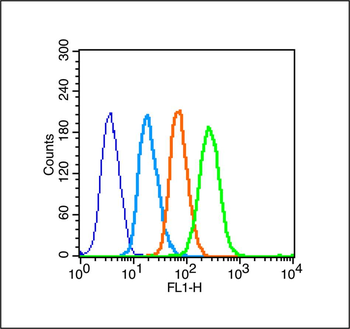 APOA1 Rabbit Polyclonal Antibody