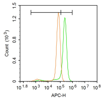 FLIP Rabbit Polyclonal Antibody