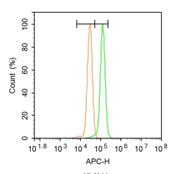 GADD45A Rabbit Polyclonal Antibody