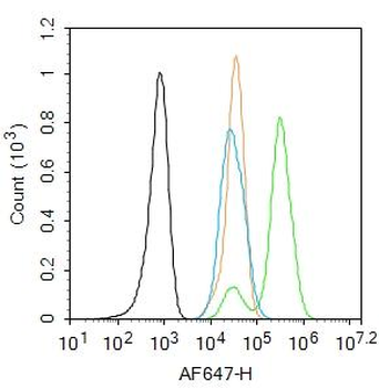 Galectin 3 Rabbit Polyclonal Antibody