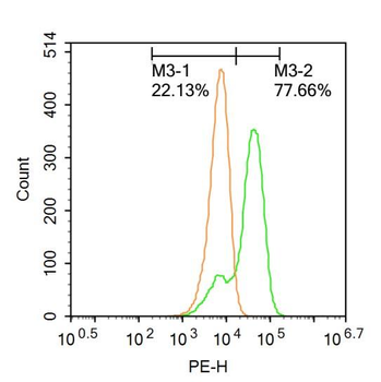 GATA3 Rabbit Polyclonal Antibody