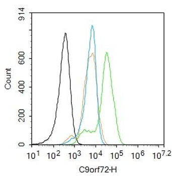 C9orf72 Rabbit Polyclonal Antibody