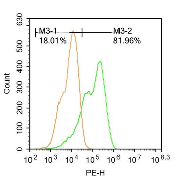 C9orf72 Rabbit Polyclonal Antibody