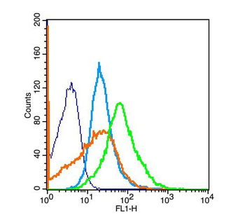 Growth hormone receptor Rabbit Polyclonal Antibody