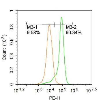 CXCL2/GRO Beta Rabbit Polyclonal Antibody