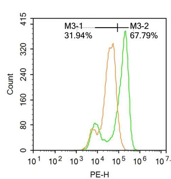 CTNND1 Rabbit Polyclonal Antibody