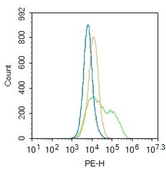 Hyaluronidase-1 Rabbit Polyclonal Antibody