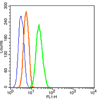 Histone H3 Rabbit Polyclonal Antibody (Nuclear Loading Control)