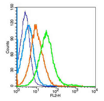 Histone H3 Rabbit Polyclonal Antibody (Nuclear Loading Control)