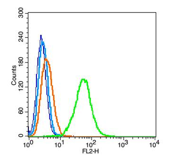 HLA-DRA Rabbit Polyclonal Antibody
